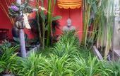 Туры в отель Golden Butterfly Villa