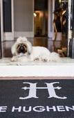 Туры в отель The Hughenden Boutique Hotel