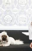 Туры в отель The Hughenden Boutique Hotel