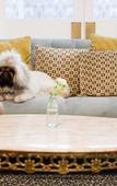 Туры в отель The Hughenden Boutique Hotel