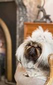 Туры в отель The Hughenden Boutique Hotel