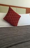 Туры в отель Comfort Inn & Suites Burwood