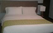 Туры в отель Hotel Charlotte Suite 26