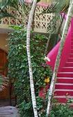 Туры в отель Hotel BaXar