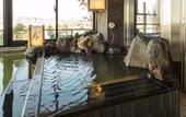 Туры в отель Dormy Inn Mishima Natural Hot Spring