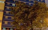 Туры в отель Hotel San Agustin Riviera
