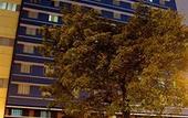 Туры в отель Hotel San Agustin Riviera