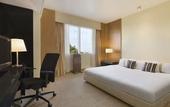 Туры в отель Mercure Antwerp City South