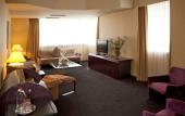 Туры в отель Mercure Antwerp City South