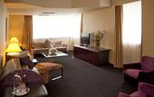 Туры в отель Mercure Antwerp City South