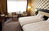 Туры в отель Mercure Antwerp City South