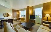 Туры в отель Mercure Antwerp City South