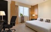Туры в отель Mercure Antwerp City South