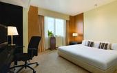 Туры в отель Mercure Antwerp City South