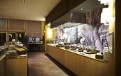 Туры в отель Mercure Antwerp City South