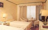 Туры в отель Jamsil Tourist Hotel Seoul