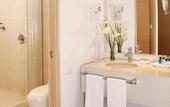 Туры в отель Hotel Estelar Blue