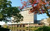 Туры в отель Hotel New Otani Saga
