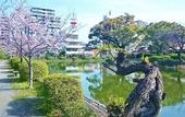 Туры в отель Hotel New Otani Saga