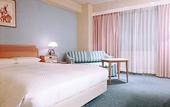 Туры в отель Hotel New Otani Saga