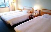 Туры в отель Hotel New Otani Saga