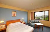 Туры в отель Hotel New Otani Saga