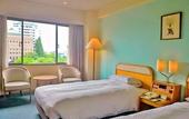 Туры в отель Hotel New Otani Saga