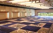 Туры в отель Hotel New Otani Saga