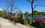 Туры в отель Hotel New Otani Saga