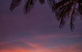 Туры в отель El Cid El Moro Beach Hotel