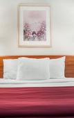 Туры в отель Budget Inn
