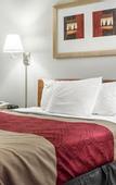 Туры в отель Budget Inn
