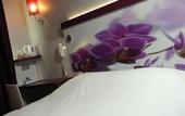 Туры в отель Kyriad Montpellier Sud - A709