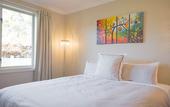 Туры в отель The Dairy Hotel Queenstown, A Naumi Chapter