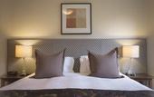 Туры в отель The Dairy Hotel Queenstown, A Naumi Chapter