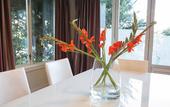 Туры в отель The Dairy Hotel Queenstown, A Naumi Chapter