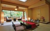 Туры в отель Nikko Hoshinoyado