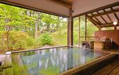 Туры в отель Nikko Hoshinoyado