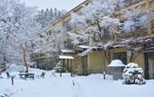 Туры в отель Nikko Hoshinoyado