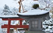 Туры в отель Nikko Hoshinoyado