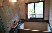 Туры в отель Nikko Hoshinoyado