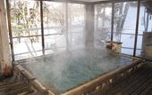 Туры в отель Nikko Hoshinoyado