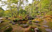 Туры в отель Nikko Hoshinoyado