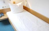 Туры в отель Hotel Landgasthof Blume