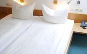 Туры в отель Hotel Landgasthof Blume