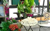 Туры в отель Hotel Landgasthof Blume