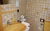 Туры в отель Hotel Landgasthof Blume