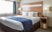 Туры в отель Comfort Suites Seven Mile Beach Cayman Islands