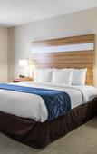 Туры в отель Comfort Suites Seven Mile Beach Cayman Islands