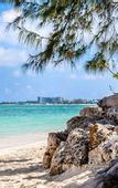 Туры в отель Comfort Suites Seven Mile Beach Cayman Islands